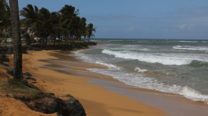 A Beach in Puerto Rico 